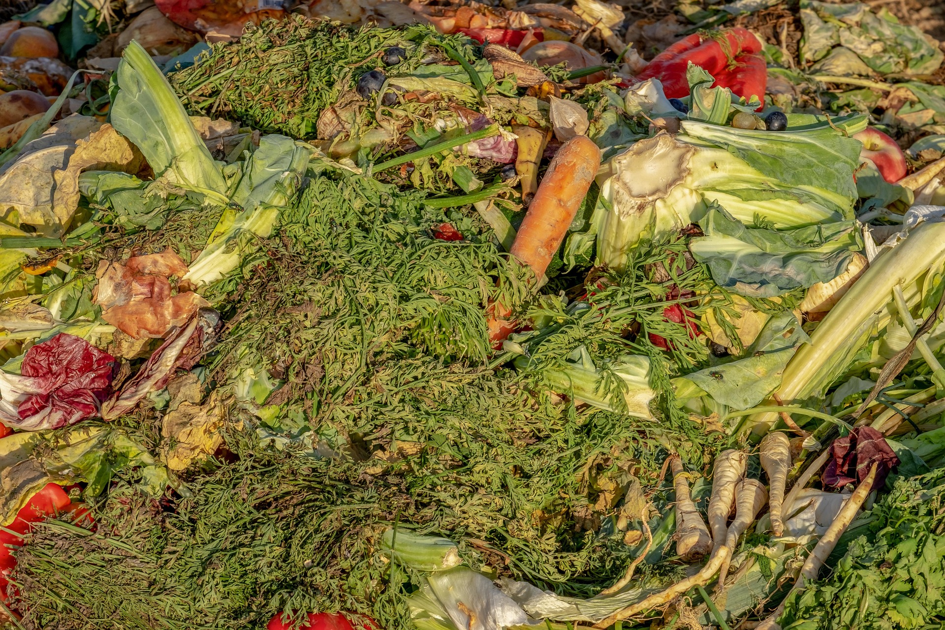 Reststoffe für Bioethanol