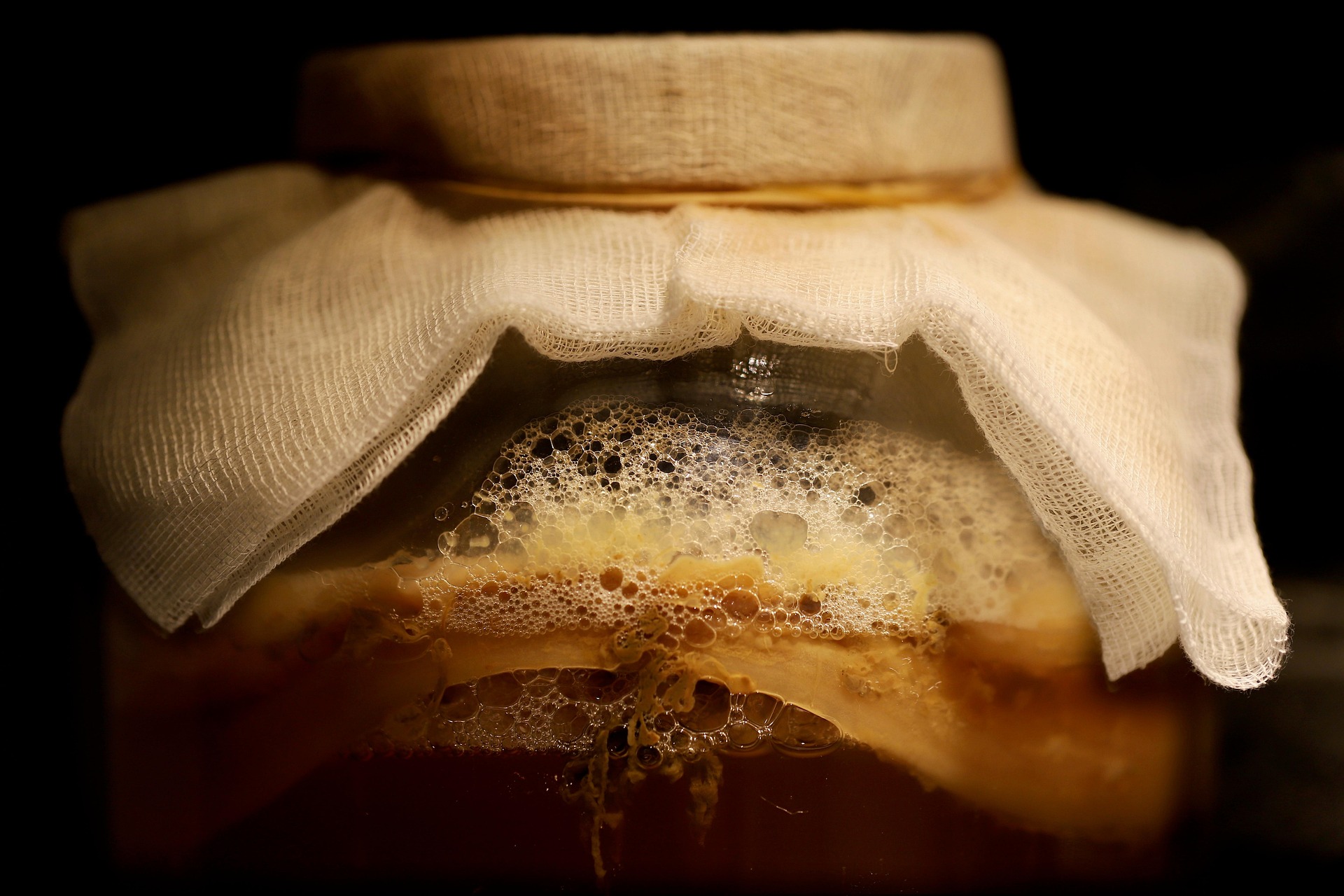 Fermentationsprozess